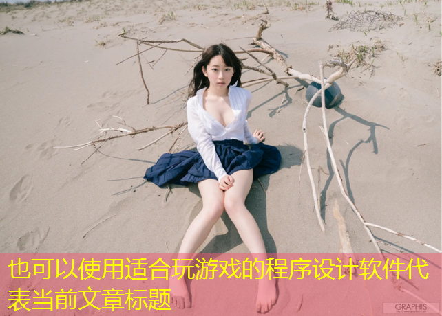 <strong>适合玩游戏的程序设计软件</strong>
