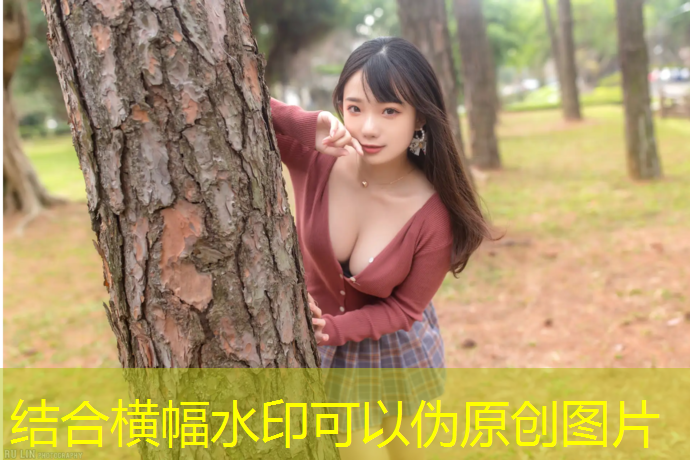 双杠单杠游戏：运动与娱乐相结合的全新选择